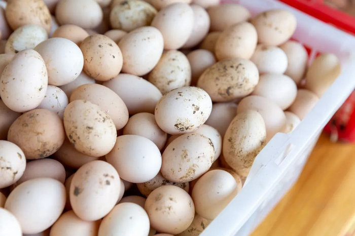 鸡蛋从平平无奇摇身一变美味佳肴。（图/图虫创意）