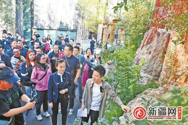 9月12日，在野马古生态园，东方甄选直播团队队员董宇辉通过直播向网友介绍硅化木相关信息。（全媒体记者陈岩摄）