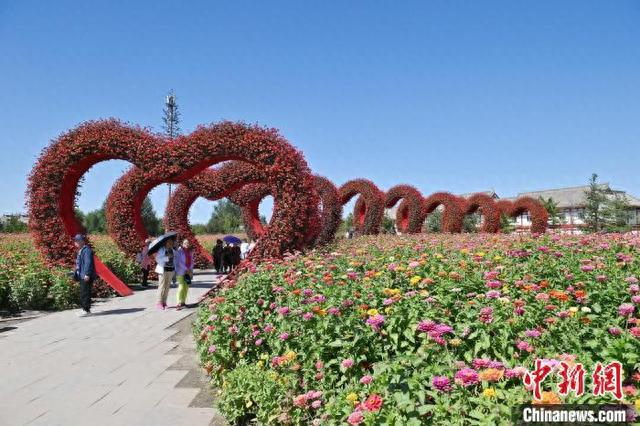 长春秋色宜人 游客畅游花海