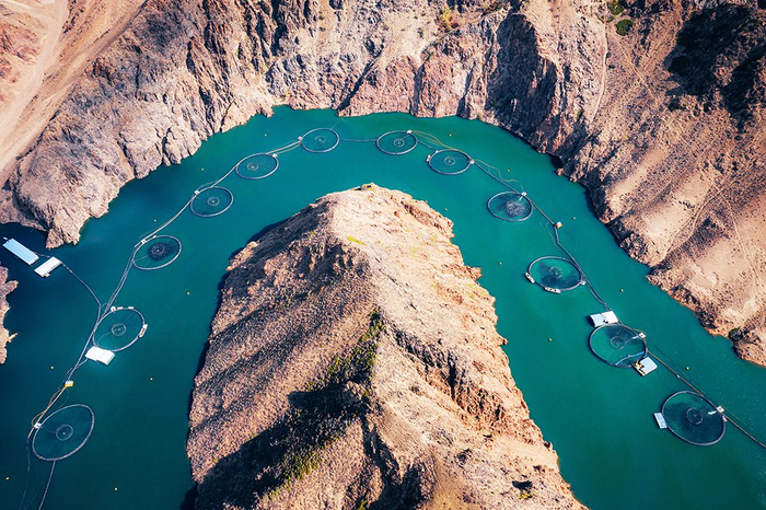 图集新疆海鲜火出圈走近沙漠里的水产养殖