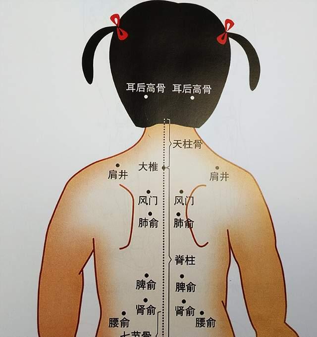可以刮大抒——肺俞,大椎——身柱,刮下来是三条线.