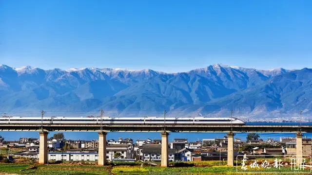 ▲开屏新闻资料图