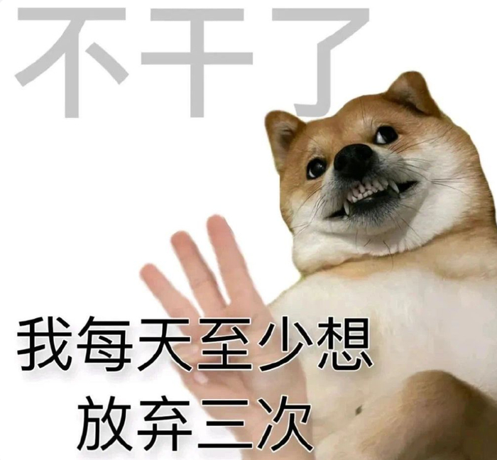 今年最可爱顶流又被00后玩成阴阳怪气表情包了