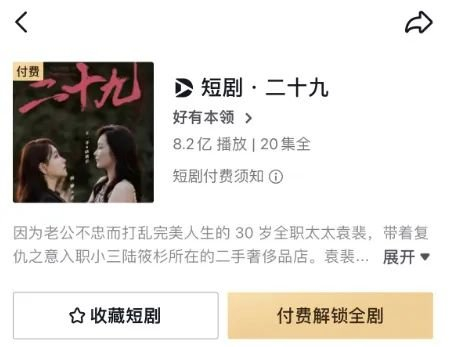 抖音短剧《二十九》