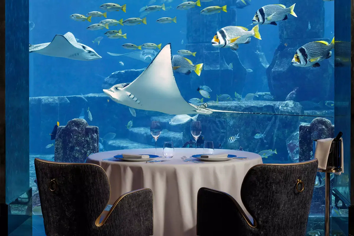 迪拜美食地图米其林古早味海底餐厅闯入美食的一千零一夜畅游迪拜④