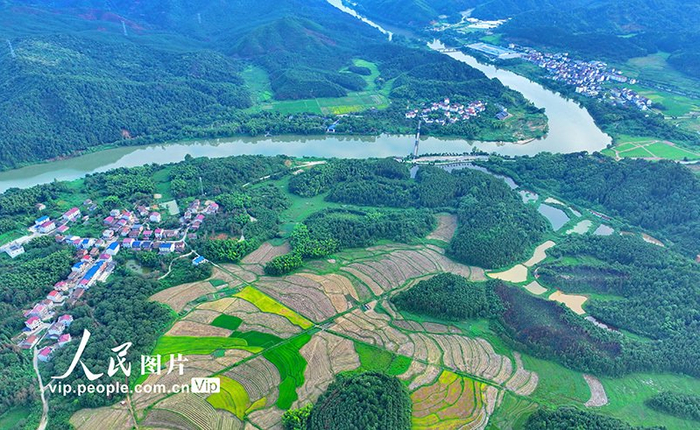 2023年9月13日,江西省抚州市宜黄县桃陂镇戈坪村,河畔绿树葱茏,田园