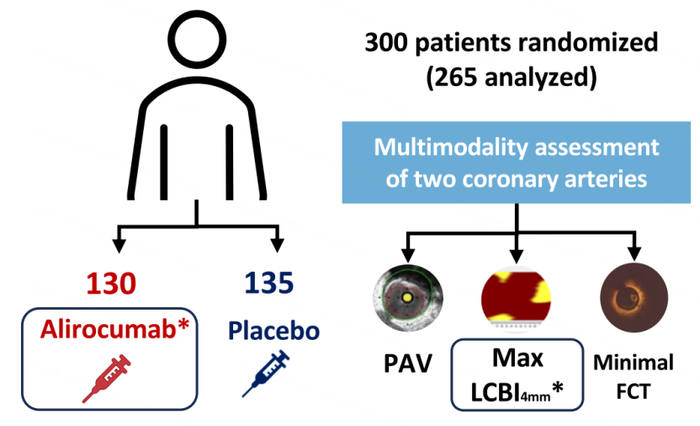 图 PACMAN AMI研究亚组设计