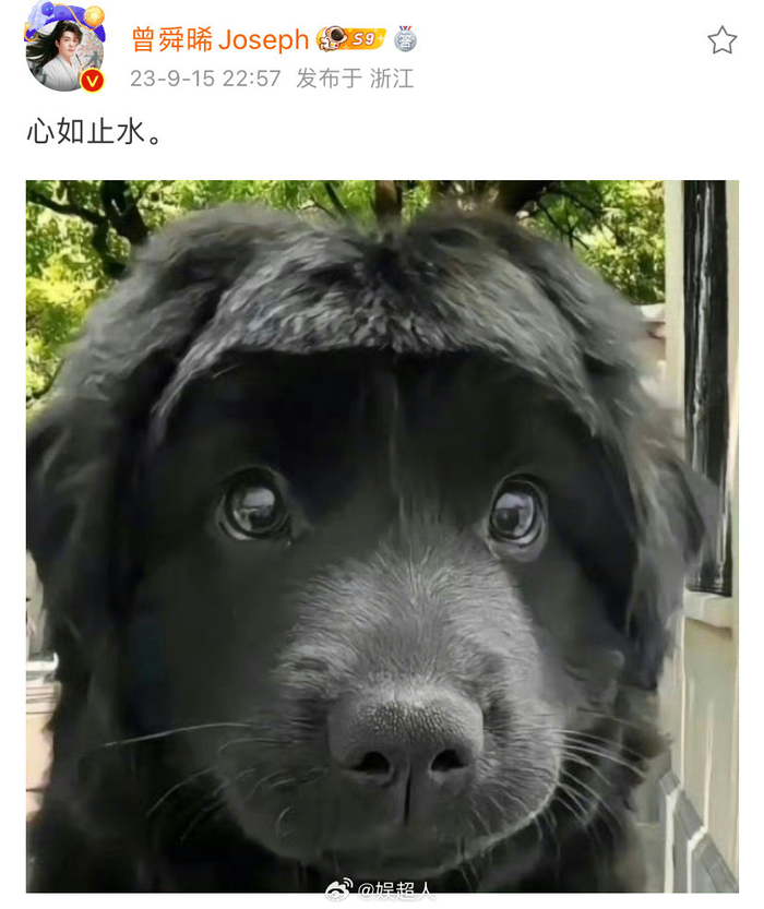 刚刚,曾舜晞发微博回应在《云之羽》中被P了刘海:心如止水……|表情包|狗狗|齐刘海_新浪新闻