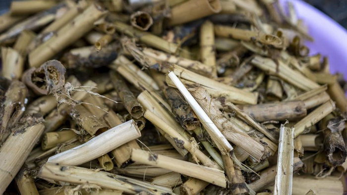 霉苋菜梗 视觉中国 图