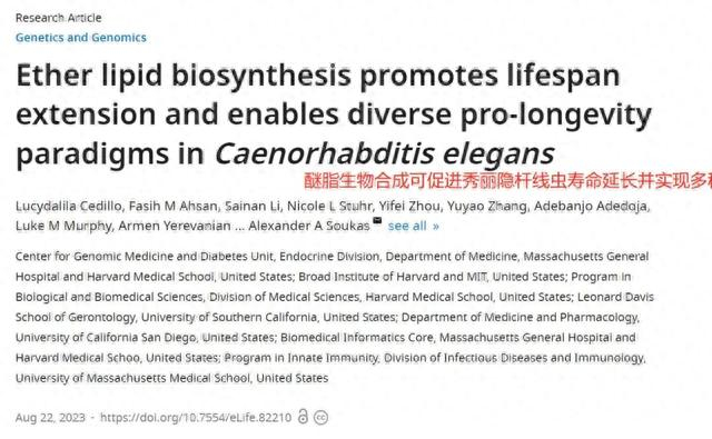 生物刺激输出线怎么连哈佛:二甲双胍刺激产生醚酯类分子,延缓衰老,延长寿命_新闻资讯_第3张_活检穿刺产品网 生物刺激输出线怎么连哈佛:二甲双胍刺激产生醚酯类分子,延缓衰老,延长寿命_https://www.jmylbn.com_新闻资讯_第3张
