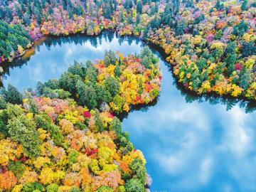 秋季，九寨沟漫山彩林成为最美的风景。