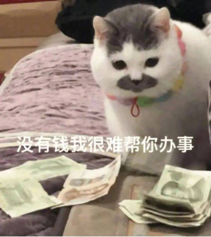 表情包 | 没有钱 我很难帮你办事 拿图点赞、吱声_新浪新闻