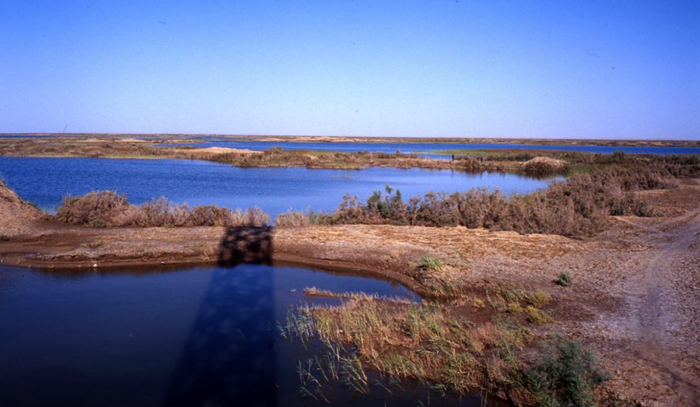 △ 新疆的河流所过之地，草肥水美 时代周报 黎广/摄