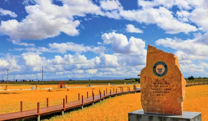 吉尼斯稻香村（长兴村）