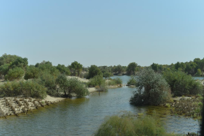 △ 流经沙丘的塔里木河 时代周报 黎广/摄