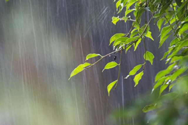 预计未来三天我省有降水天气|临汾市|运城市|太原市_新浪新闻