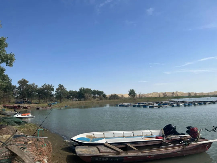 △ 塔里木河 图源：受访者提供