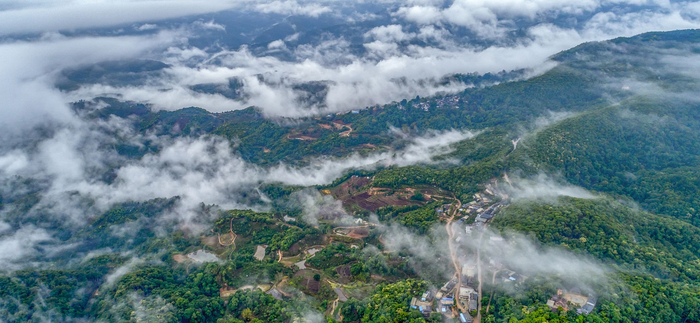 云南普洱，景迈山
