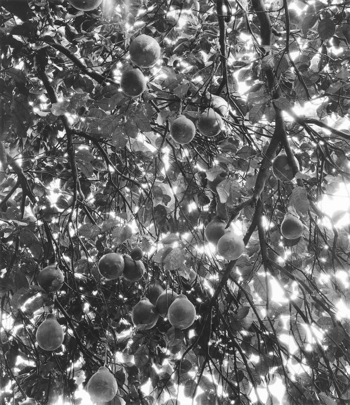 看展览|付羽:神秘主义的那种感觉,是照片给出来的东西|摄影_新浪新闻