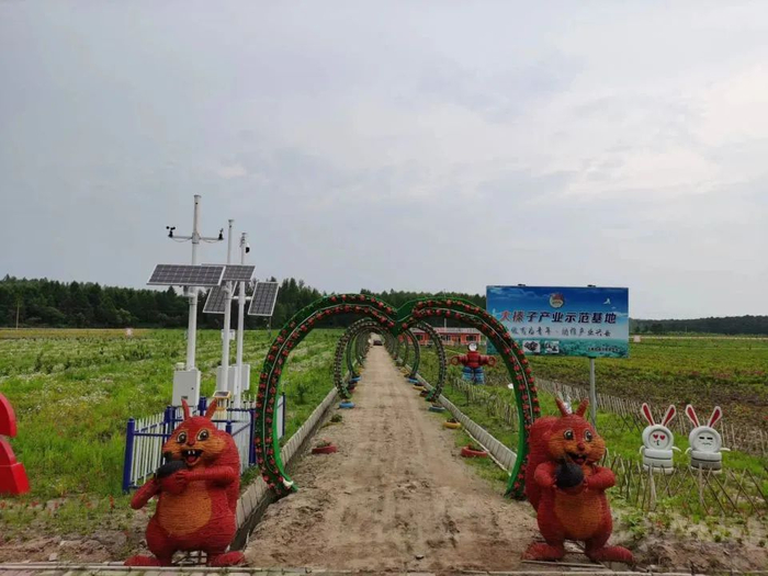 永乐大榛子示范园