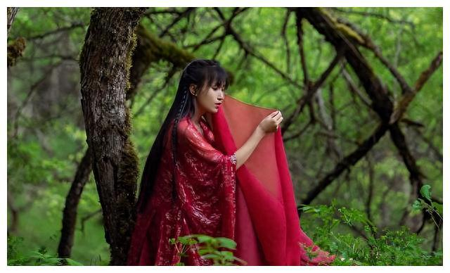李子柒|山水人家|视频_新浪新闻