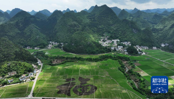 万峰林景区的山水田园景色（无人机照片）。新华社记者 杨楹 摄