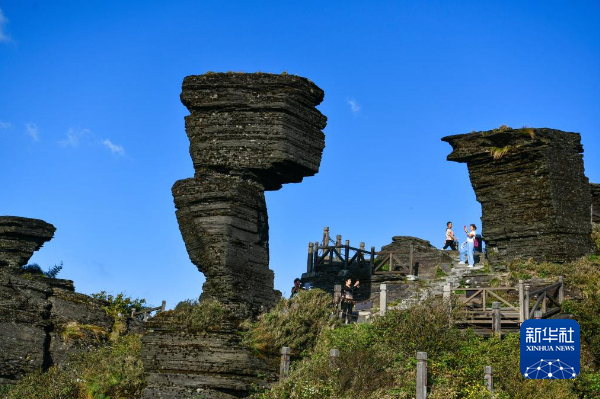 游客在贵州省铜仁市梵净山景区旅游观光。新华社记者 杨文斌 摄