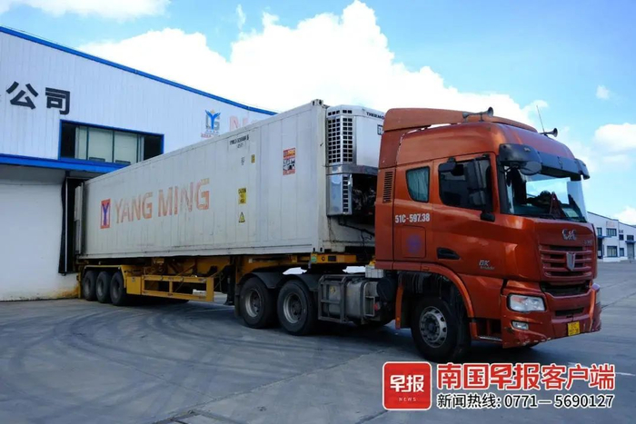 ▲越南货车在龙邦加工产业园一企业等待卸货。