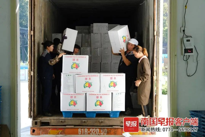 ▲工人正在卸载越南运过来的腰果，他们中有不少是边民。