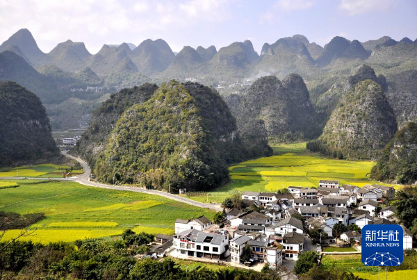 万峰林景区秀峰、村舍与田间盛开的油菜花相映成趣，风景如画。新华社发（刘朝富 摄）