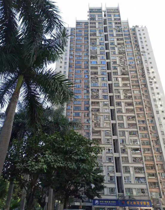 　　国城花园 记者黄灵灵 / 摄