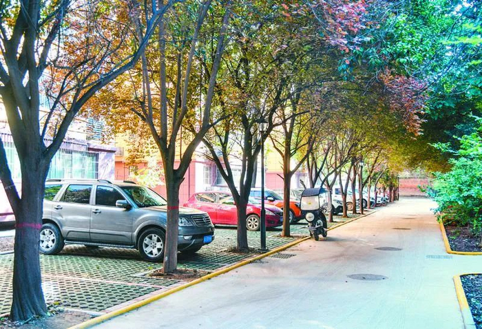 星辰小区里原本坑洼的路面全部翻新（资料图片）