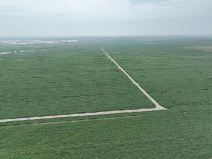 宁夏农垦前进农场“智慧灌区”。（受访者供图）