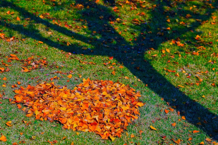 文/央视新闻《夜读》整编