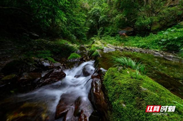 开幕式倒计时3天|借母溪风景区:徒步溯溪森呼吸 畅享田园慢生活