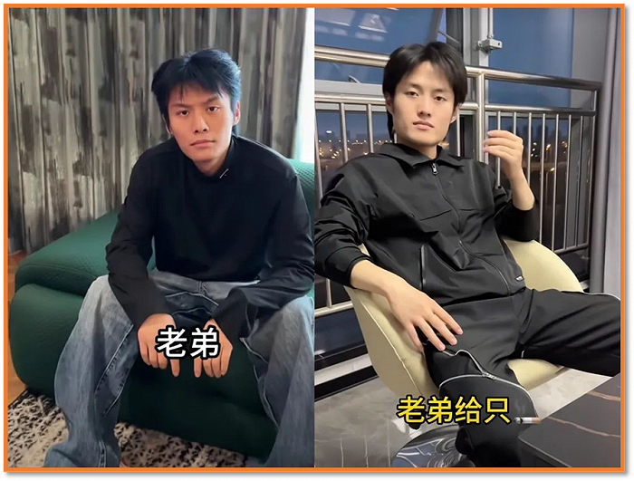 图 | 谁真谁假，傻傻分不清