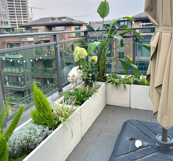 有了露台,谁还要院子啊?|设计|阳台|防水_新浪新闻