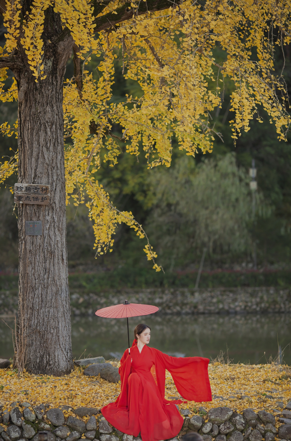 "满园银杏落秋风"主题人像拍摄|镜头_新浪新闻