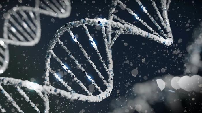 《Nature》：男性基因正在消失？- 揭示人类Y染色体的遗传奥秘.....