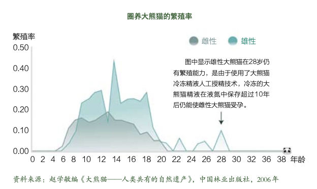 图源：《大熊猫之路》
