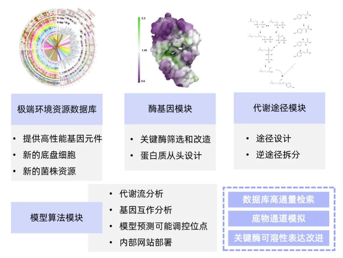 图丨智能计算合成生物学使能平台（来源：中科欣扬）