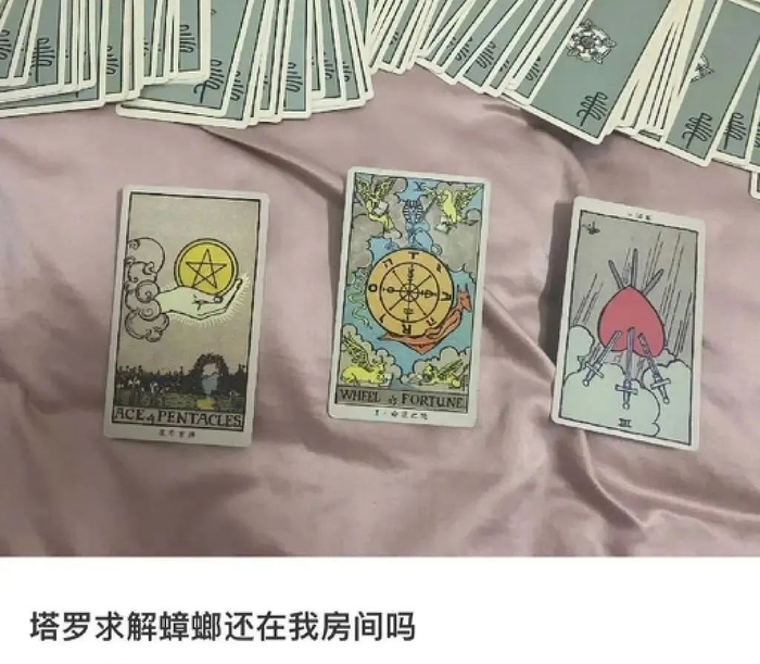 〓 图源小红书@Elizabeth.