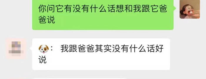 〓图源小红书@小向同学