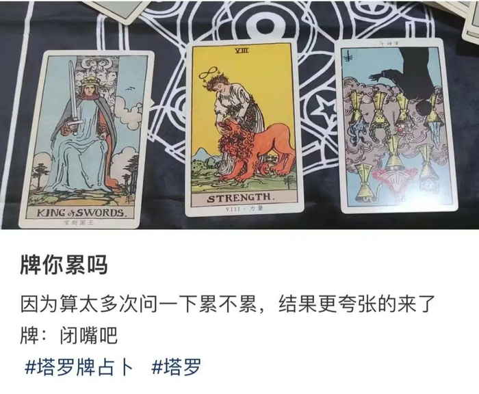 〓 图源小红书@再来一金