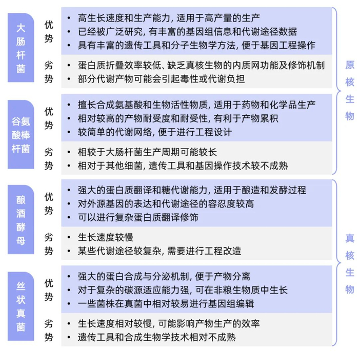 表丨不同底盘细胞合成生物潜力对比（来源：公开信息、DeepTech）