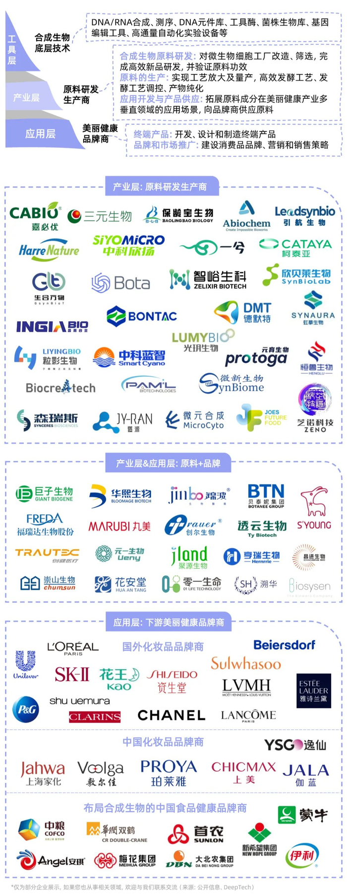 图丨合成生物美丽健康产业链图谱（来源：公开信息、DeepTech）