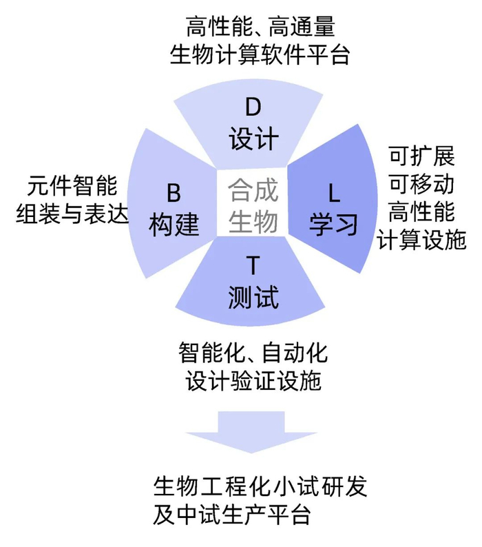图丨AI+ 合成生物关键环节方案（来源：智峪生科）