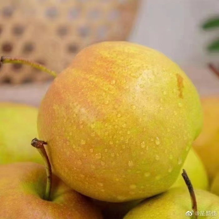 帮助推广的产品多了就有隰县政府想让帮助推广当地的玉露香梨