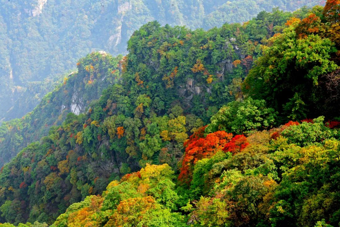 跟着这份线路,纵享三门峡秋日绝美风光~|甘山国家森林公园|线路|小