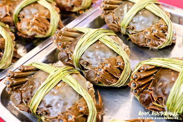 擦亮产业金名片第二十三届高淳固城湖螃蟹节启幕